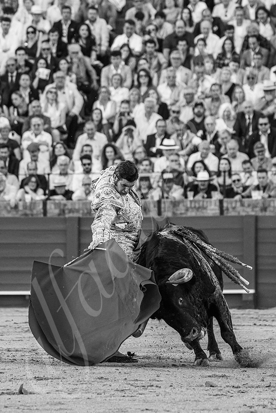 20250501sevilla 009 fd