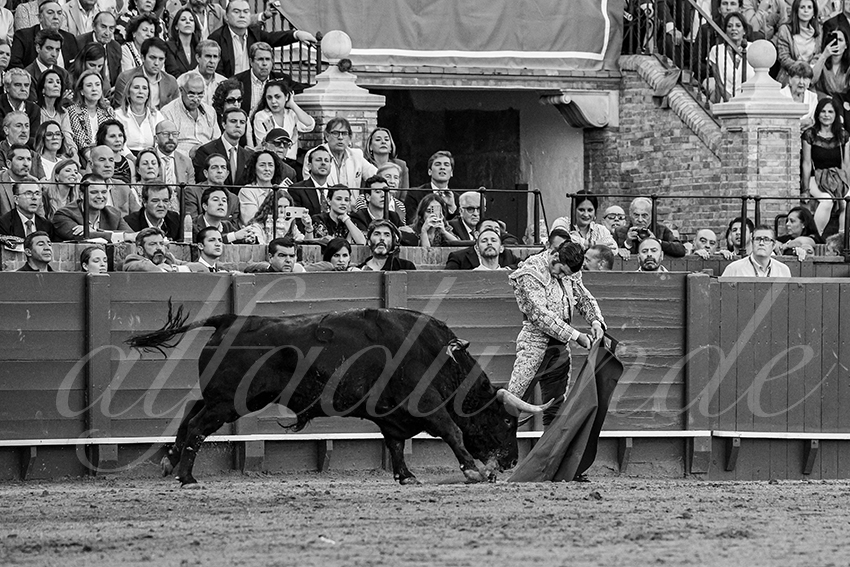 20250501sevilla 008 fd