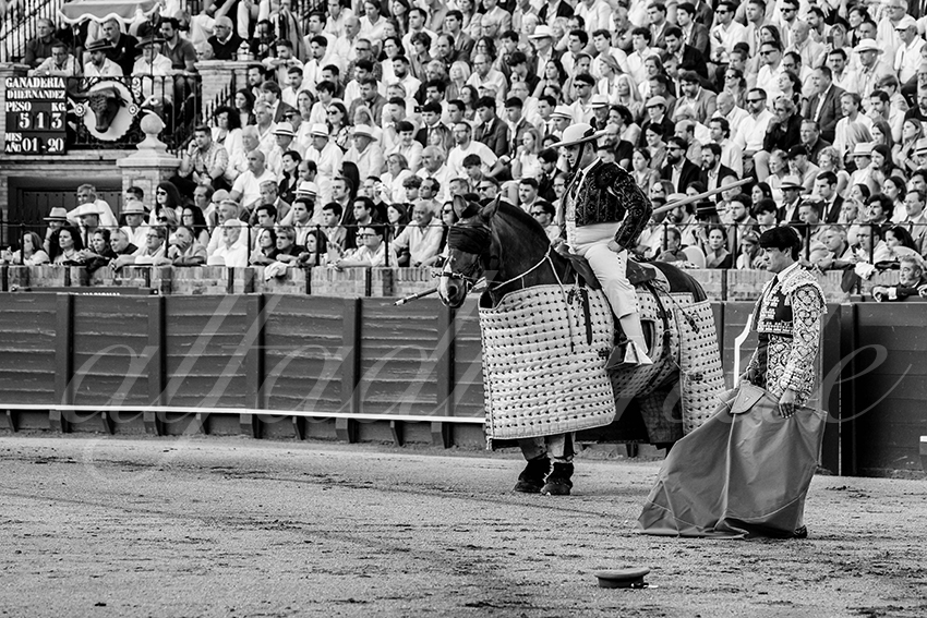 20250501sevilla 007 fd