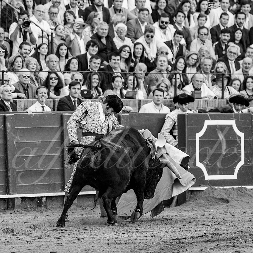 20250501sevilla 006 fd