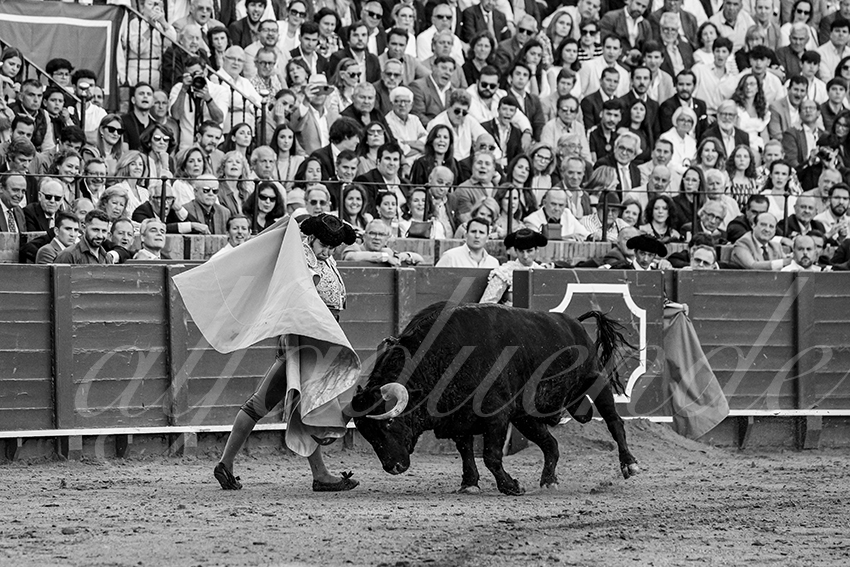 20250501sevilla 005 fd