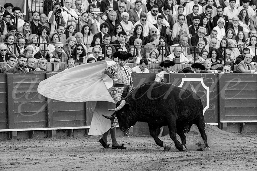 20250501sevilla 004 fd