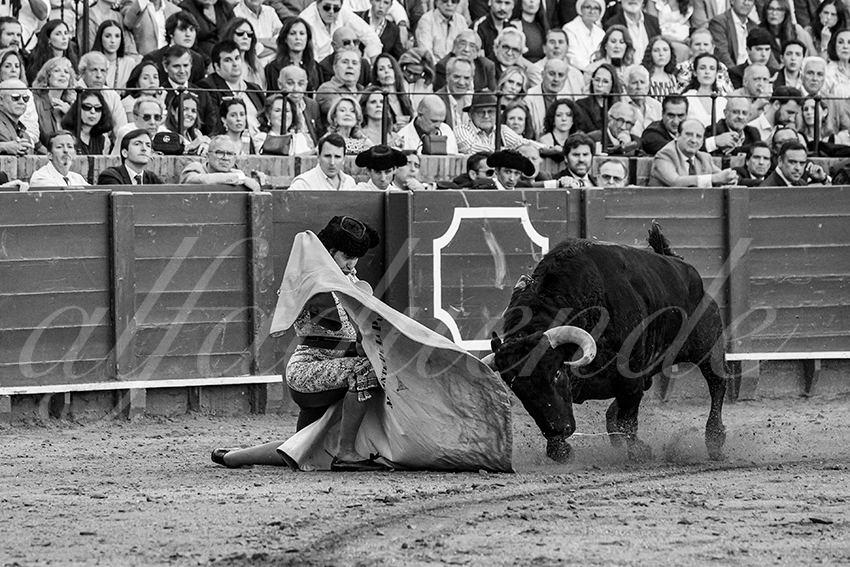 20250501sevilla 003 fd