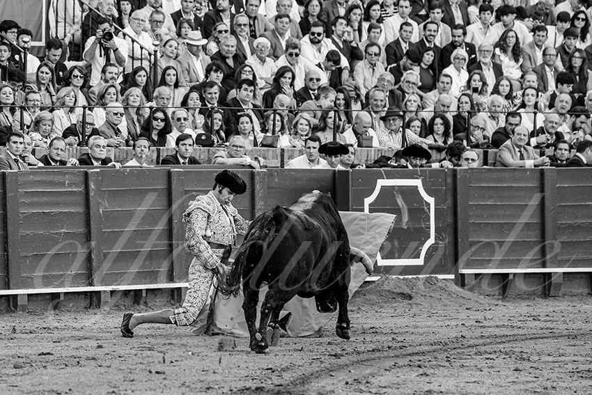 20250501sevilla 002 fd