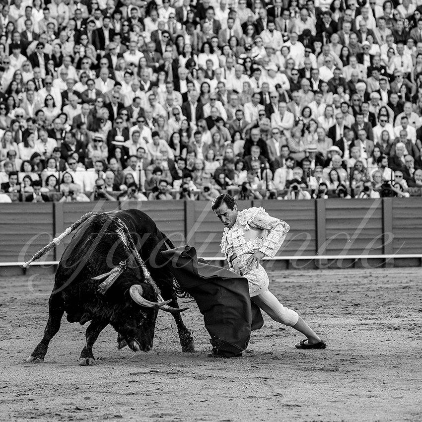 20250501sevilla 022 fd