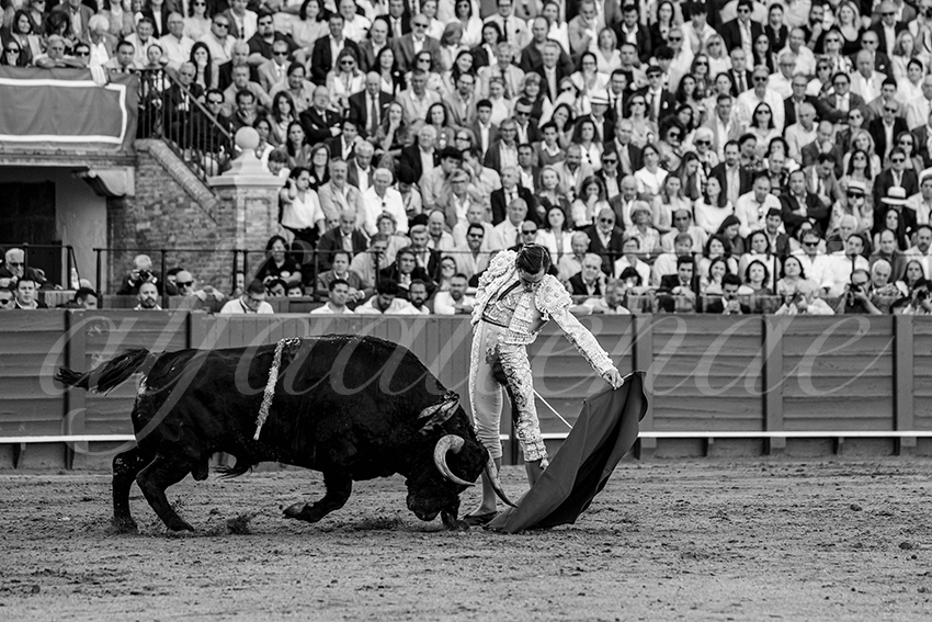 20250501sevilla 021 fd