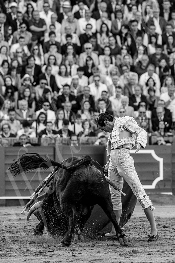 20250501sevilla 020 fd