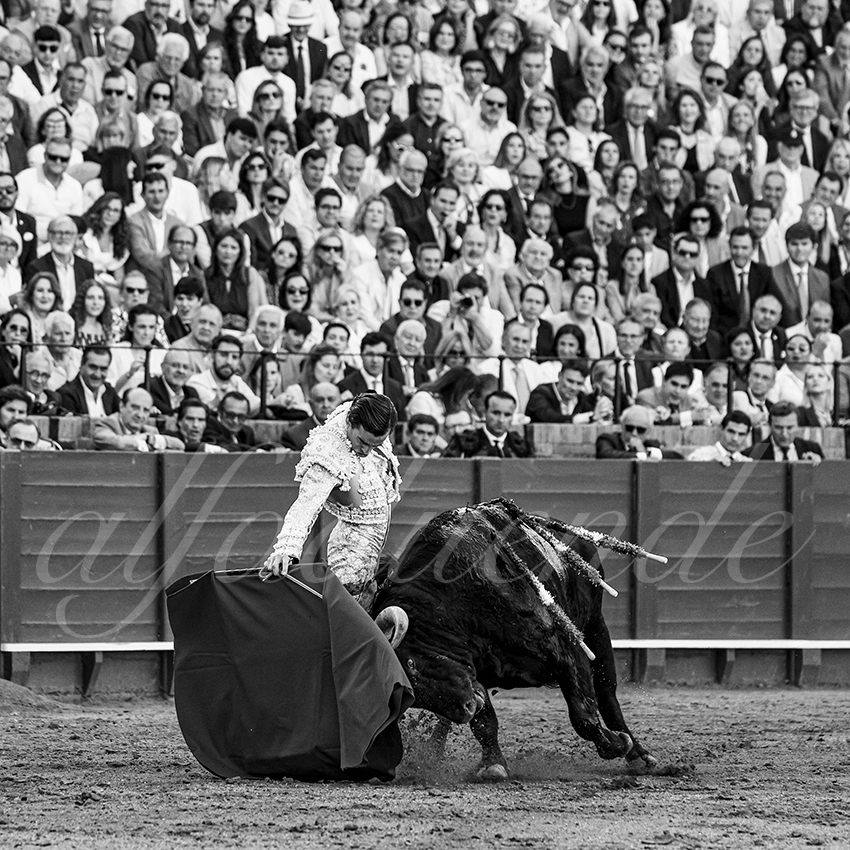 20250501sevilla 019 fd