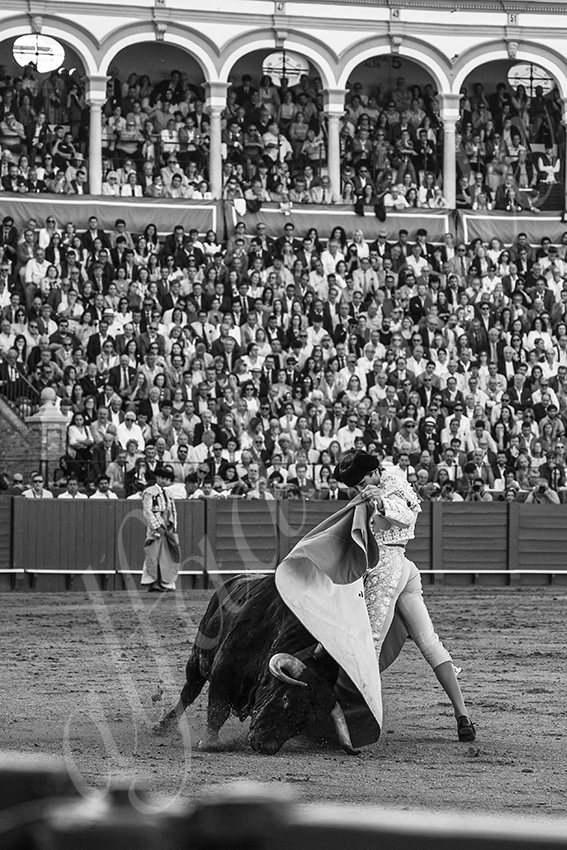 20250501sevilla 018 fd