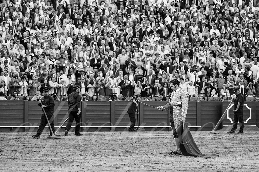 20250501sevilla 017 fd