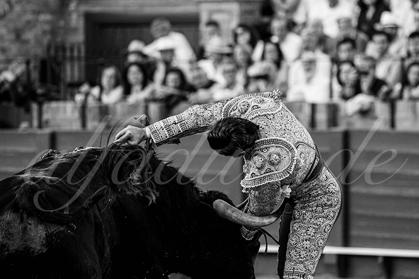 20250501sevilla 016 fd