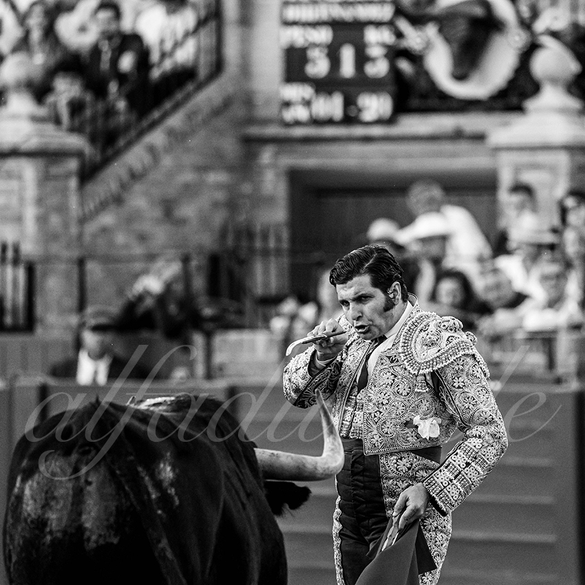 20250501sevilla 015 fd