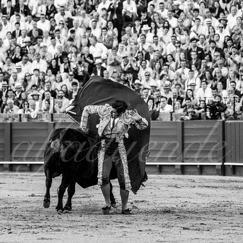 20250501sevilla 014 fd