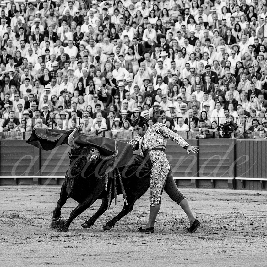 20250501sevilla 013 fd