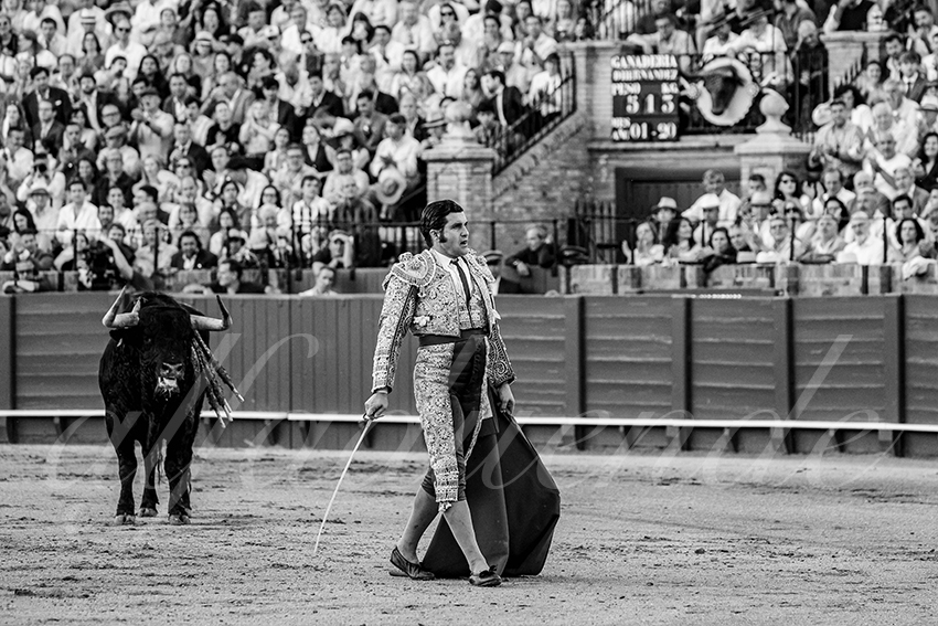 20250501sevilla 012 fd