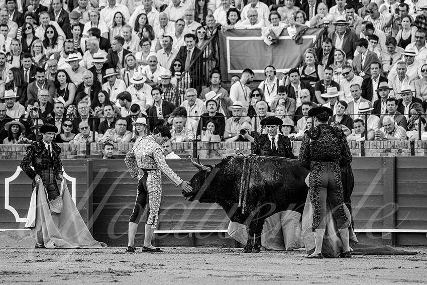 20250501sevilla 032 fd