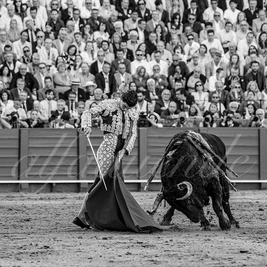 20250501sevilla 031 fd