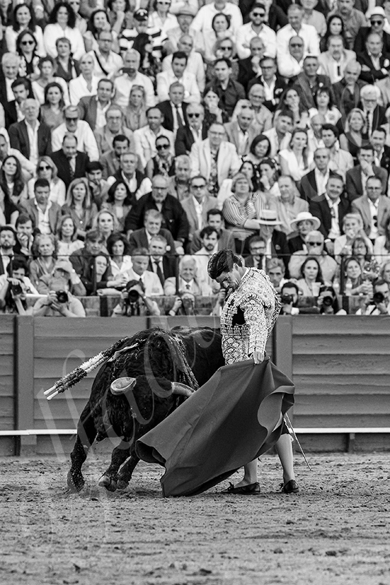 20250501sevilla 030 fd