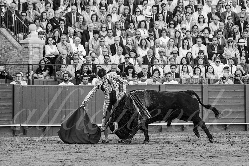 20250501sevilla 029 fd