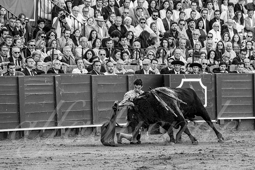 20250501sevilla 028 fd