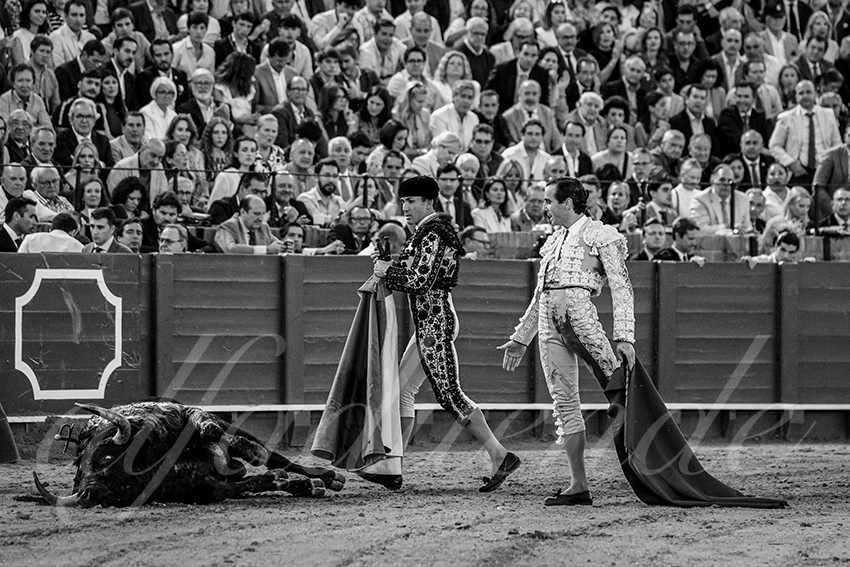 20250501sevilla 027 fd