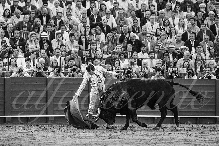 20250501sevilla 026 fd