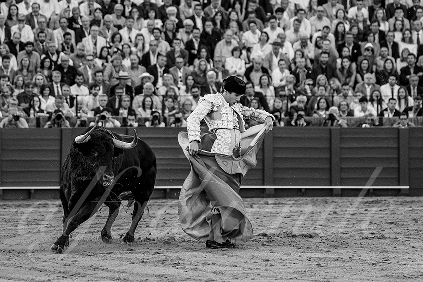 20250501sevilla 025 fd