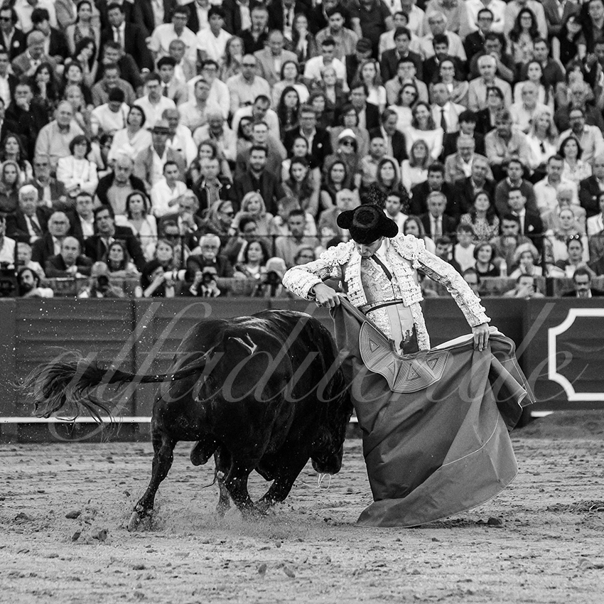 20250501sevilla 024 fd