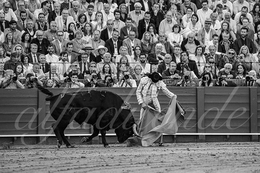 20250501sevilla 023 fd