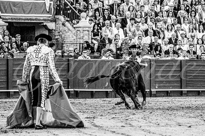 20250501 sevilla cuadrillas 009 copie