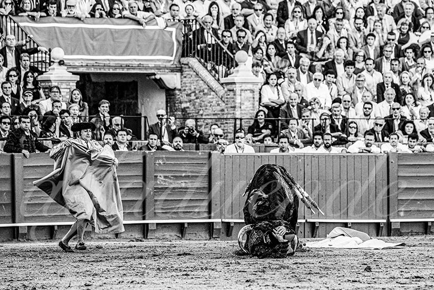 20250501 sevilla cuadrillas 006 copie