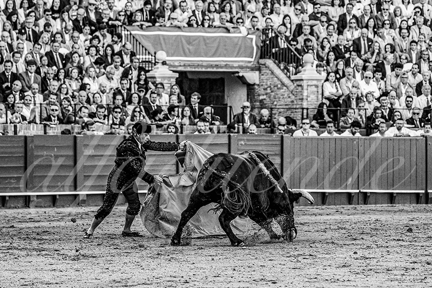 20250501 sevilla cuadrillas 005 copie