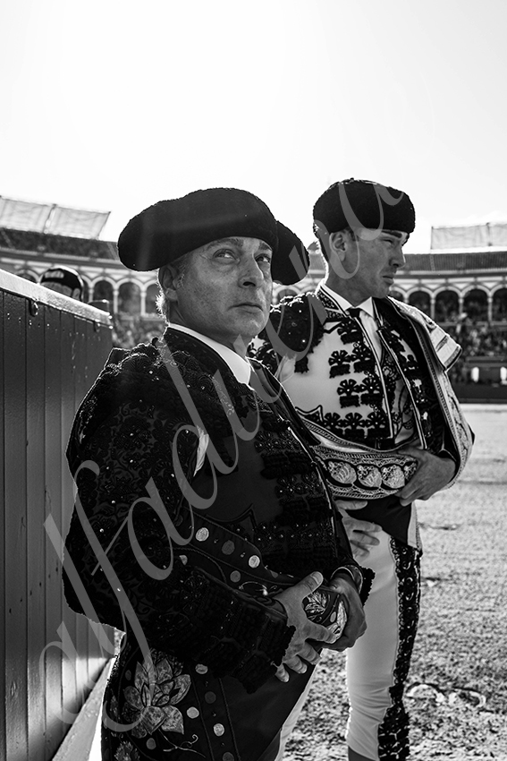 20250501 sevilla cuadrillas 002 copie