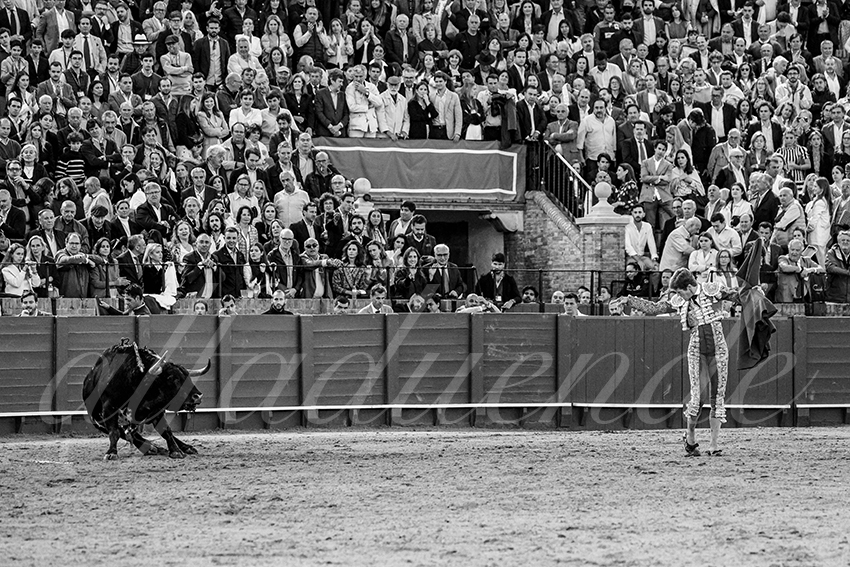 20250502 sevilla 028 fd