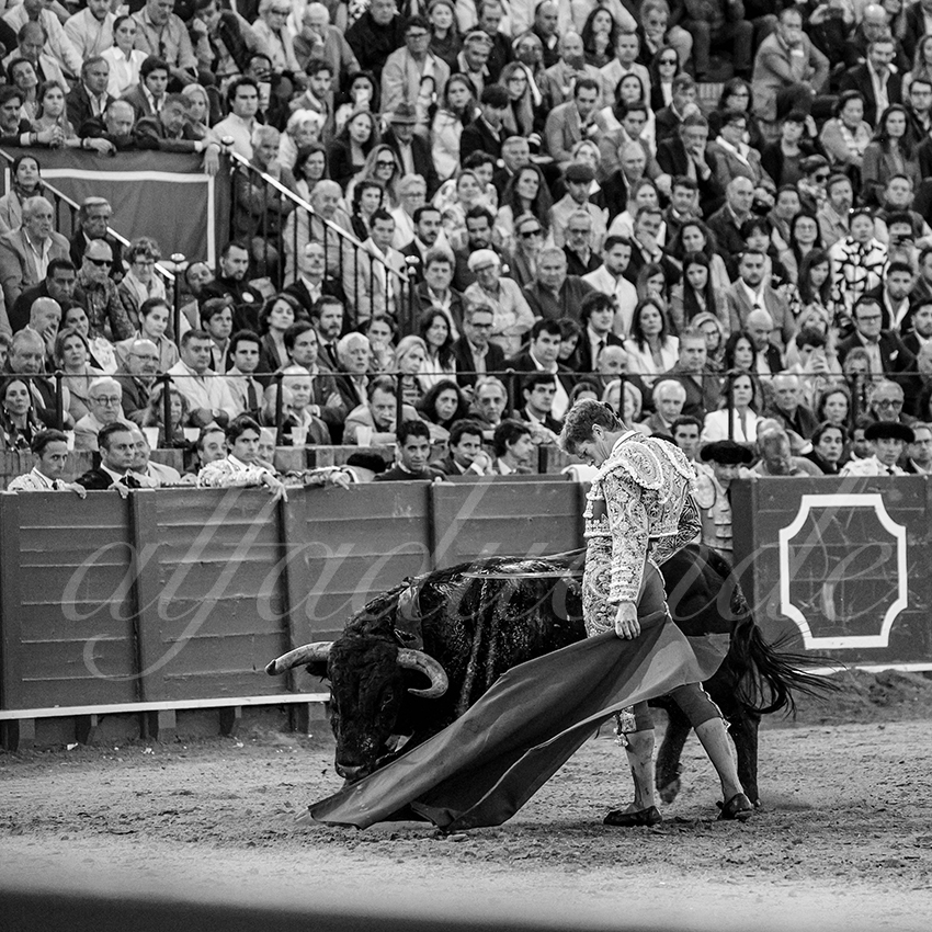 20250502 sevilla 027 fd