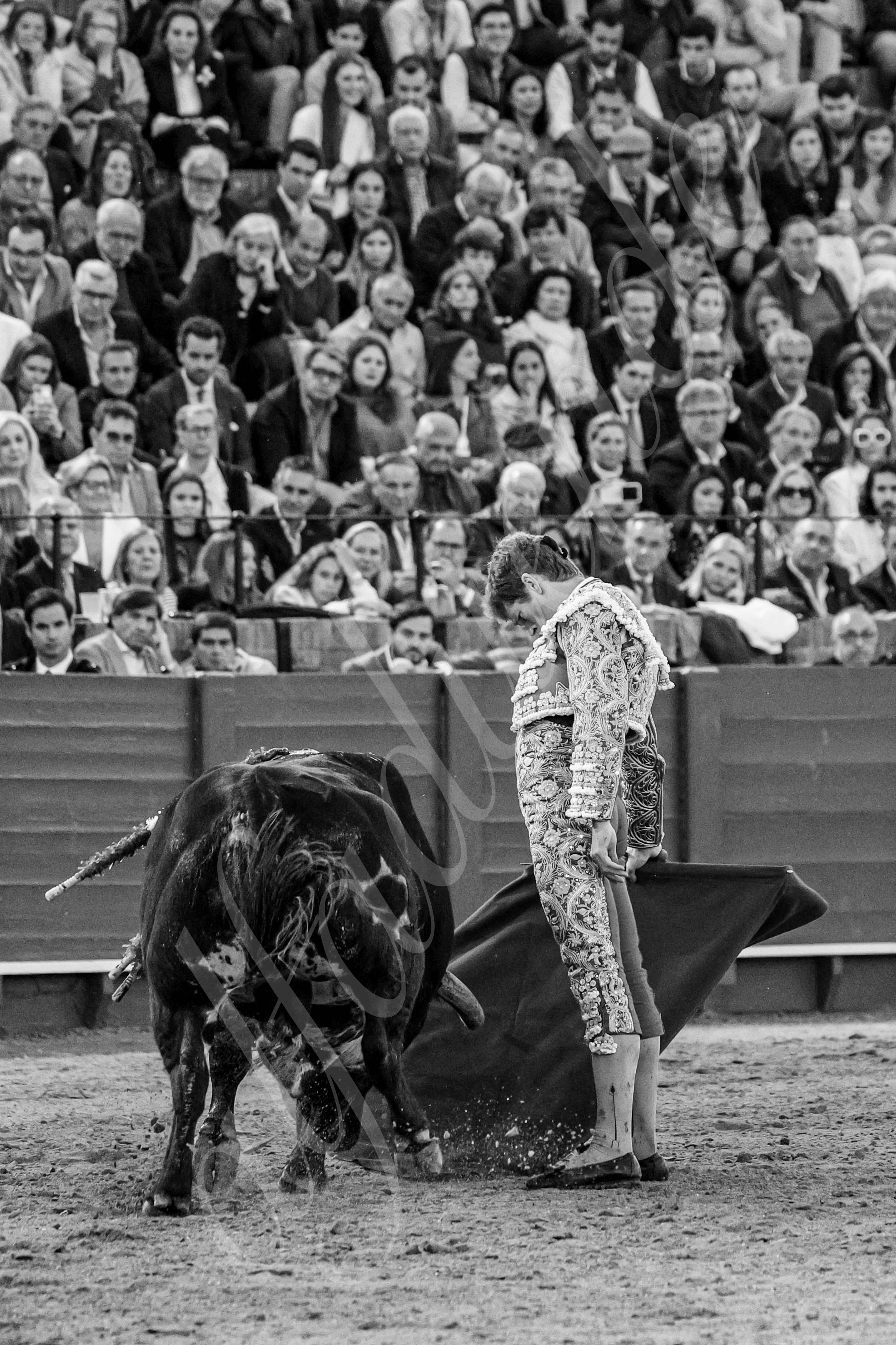 20250502 sevilla 026 fd