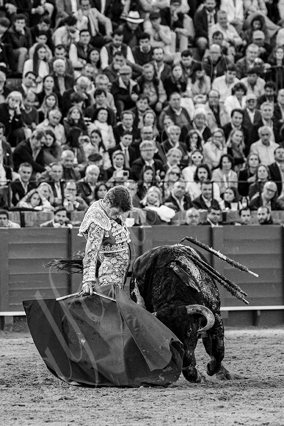 20250502 sevilla 025 fd