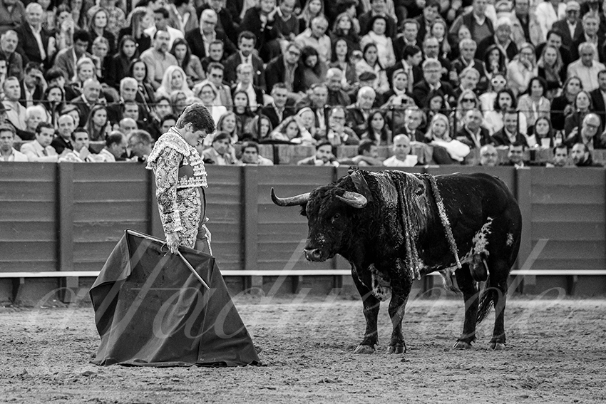 20250502 sevilla 024 fd