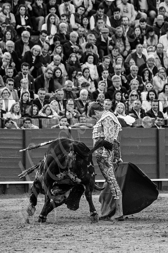 20250502 sevilla 023 fd