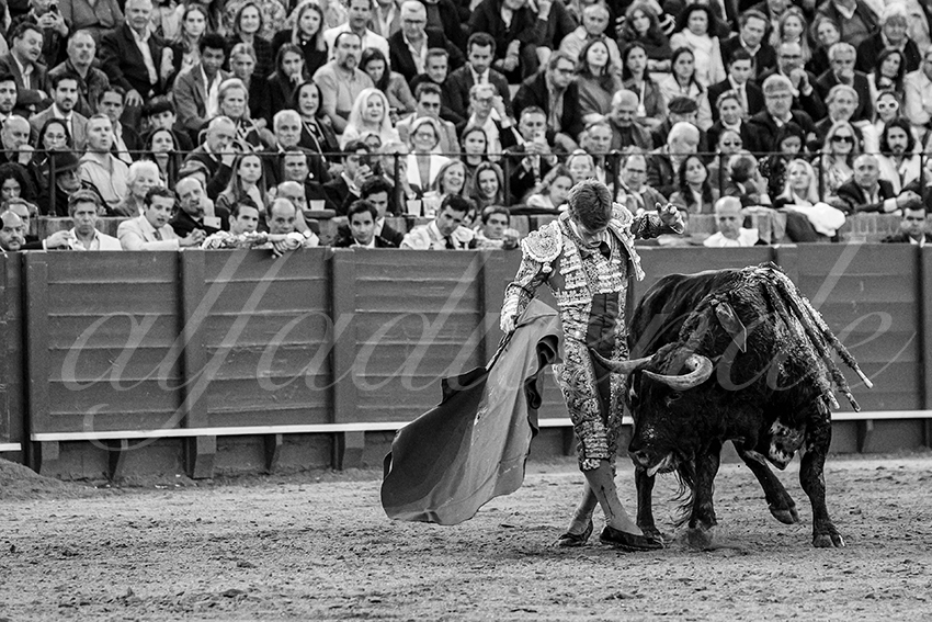 20250502 sevilla 022 fd