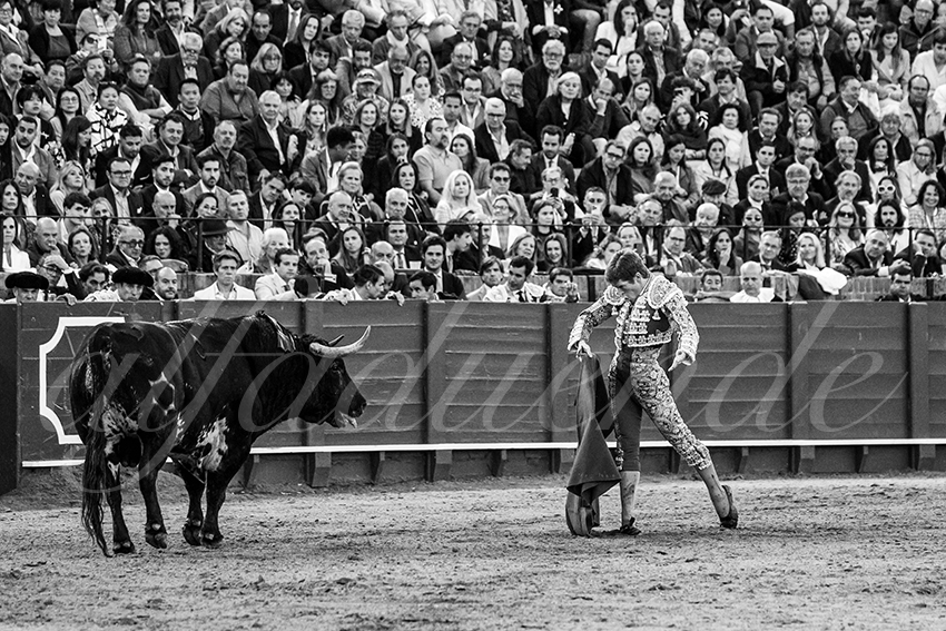 20250502 sevilla 021 fd