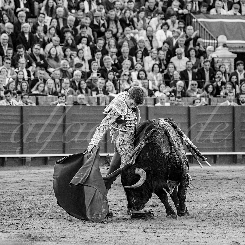 20250502 sevilla 020 fd