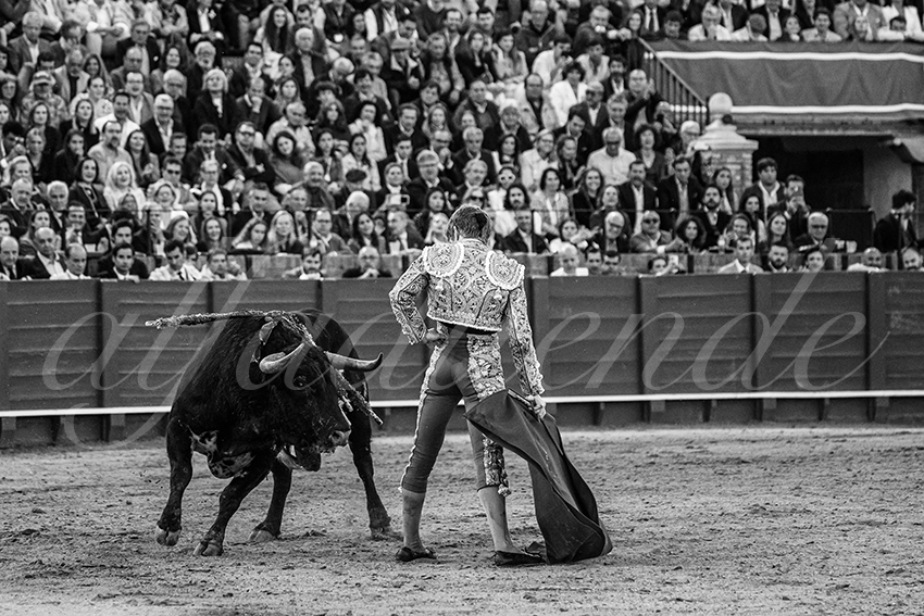 20250502 sevilla 019 fd