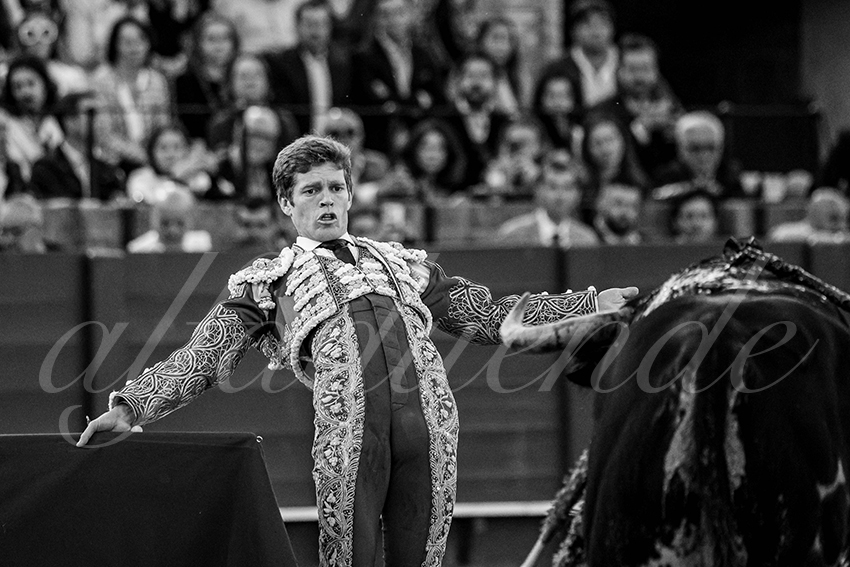 20250502 sevilla 018 fd