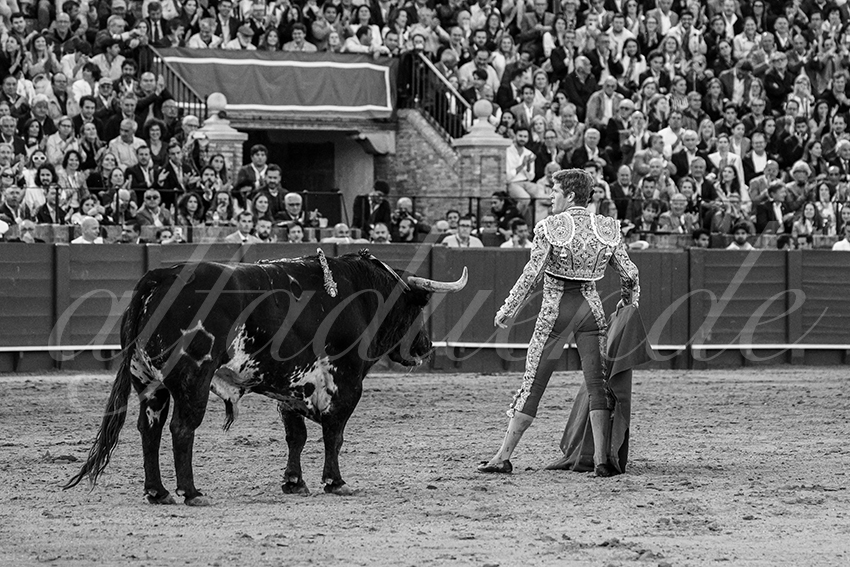 20250502 sevilla 017 fd