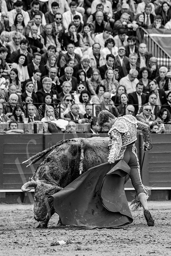 20250502 sevilla 016 fd