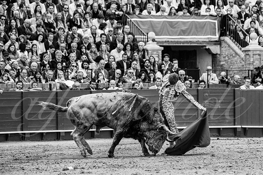 20250502 sevilla 015 fd