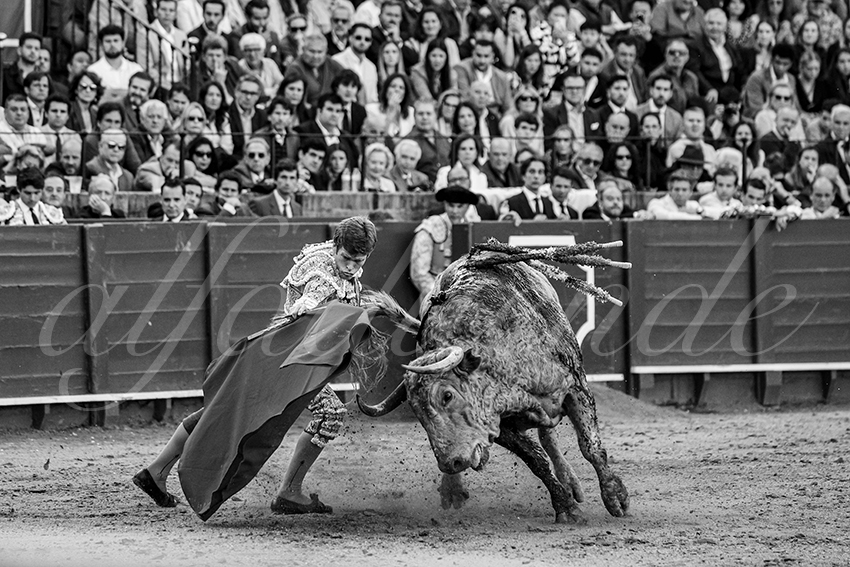 20250502 sevilla 014 fd