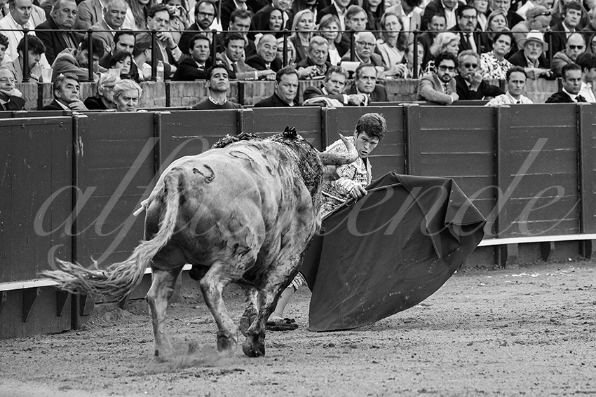 20250502 sevilla 013 fd