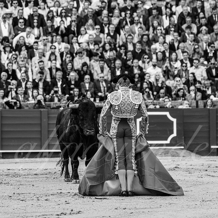 20250502 sevilla 012 fd